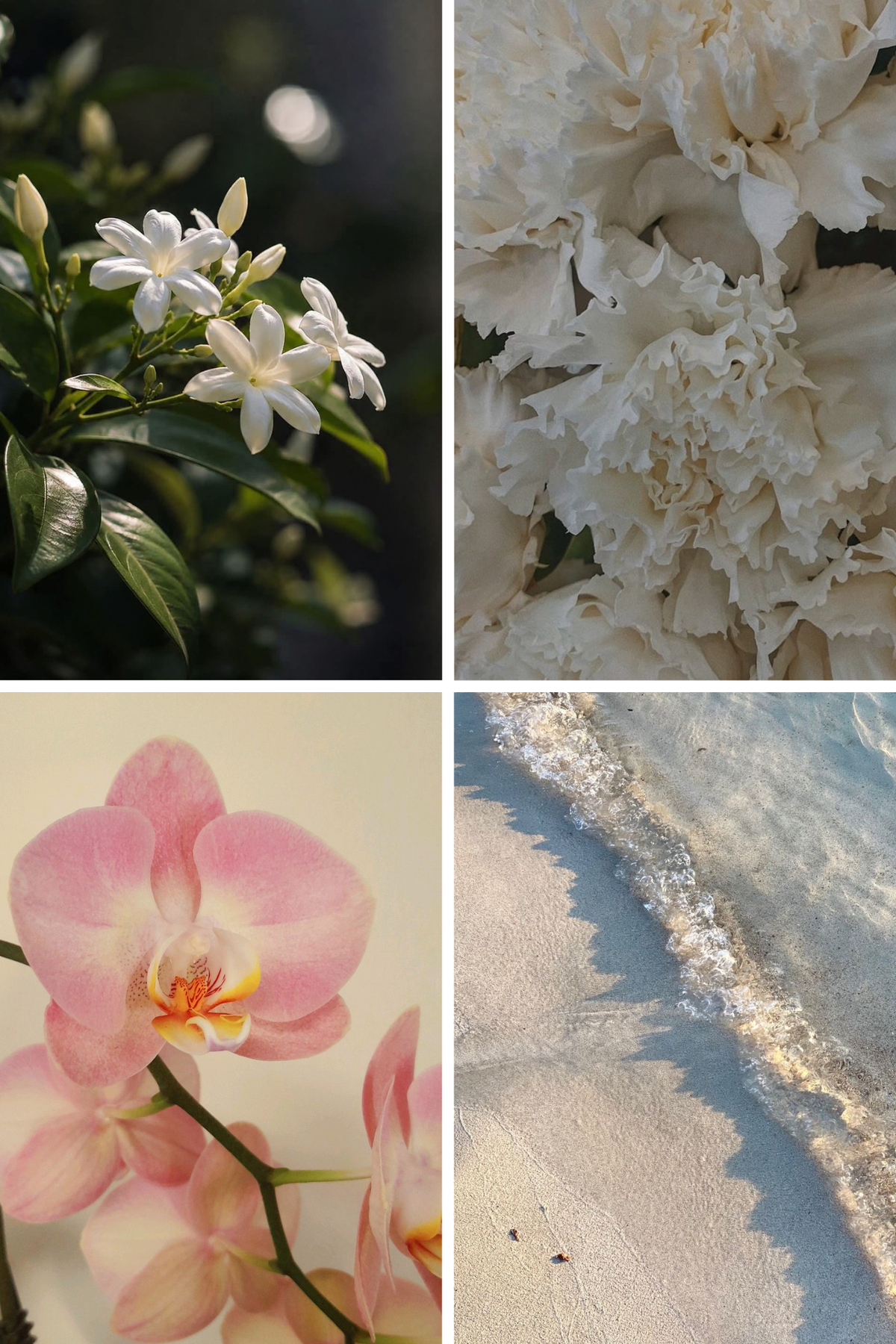 Salted Jasmine Breeze
