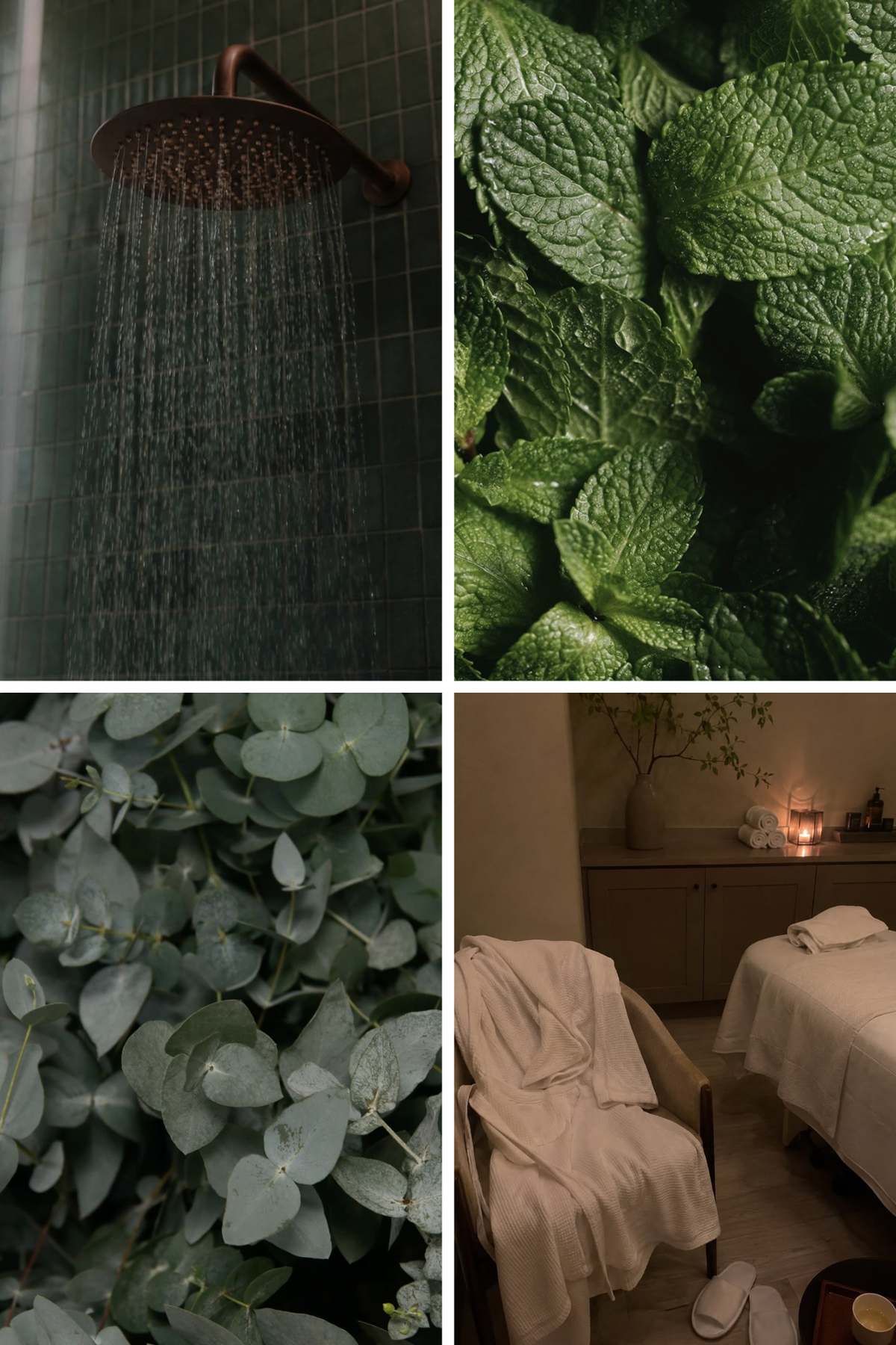 Mint & Eucalyptus